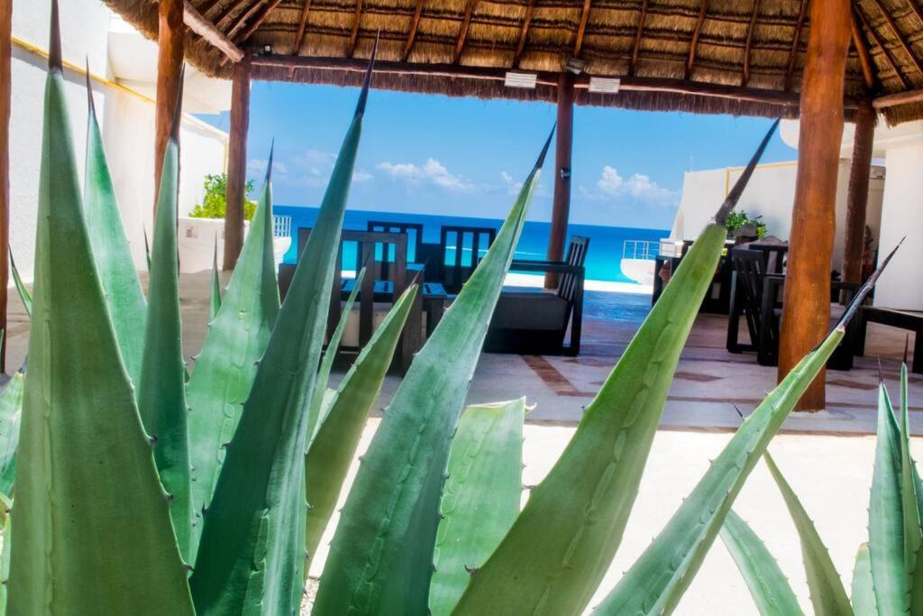 Cancun Marlin 32 Eksteriør billede